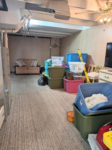 Lower level family room area