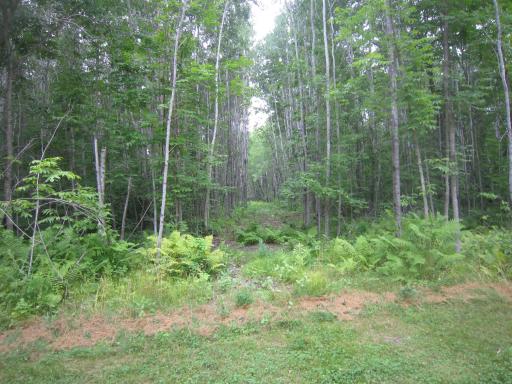 TBD State Hwy 371, Laporte, MN 56461