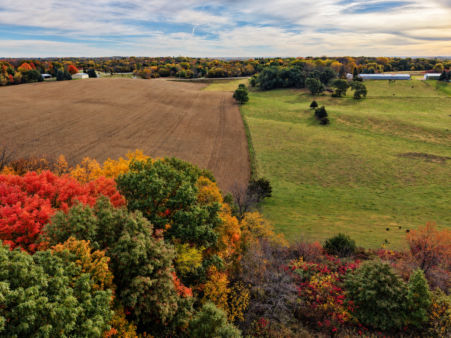 East View - Autumn Fields