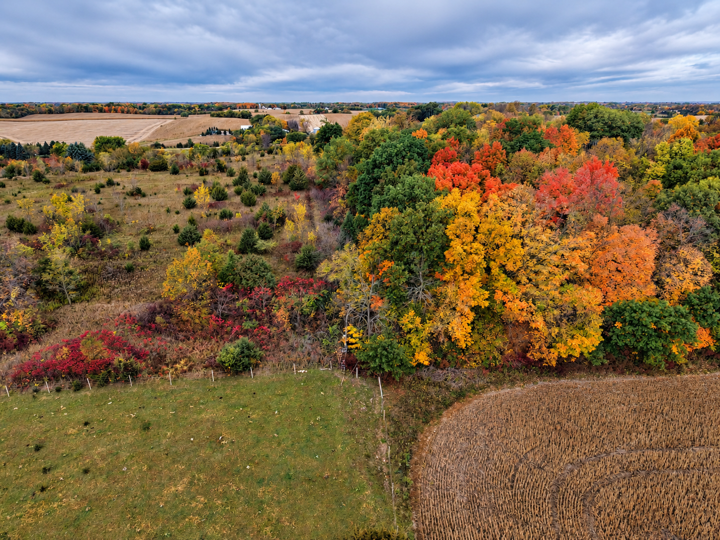 Back of Lot 6 Autumn Countryside