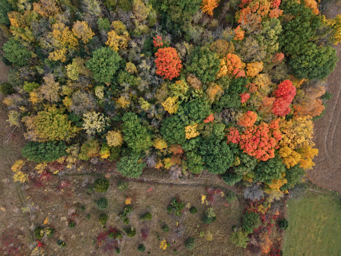 Aerial View - back of Lot 6 (Autumn Forest & Prairie)