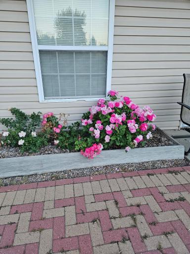 843 12 1/2 Avenue W, West Fargo, ND 58078