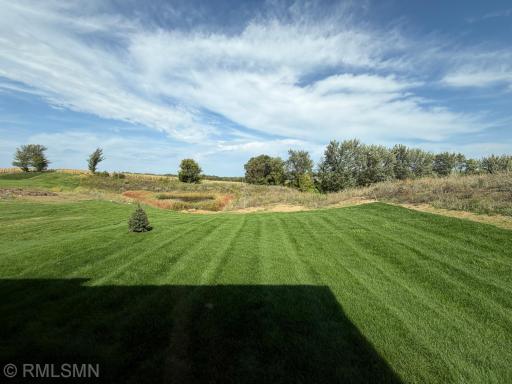 Big Backyard - sod and irrigation included!