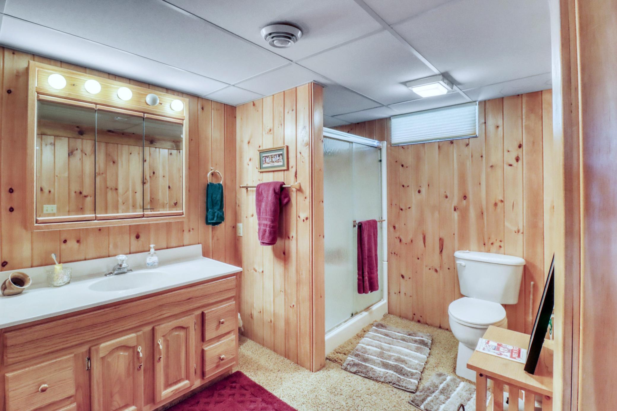 Basement Bathroom1_1.JPG