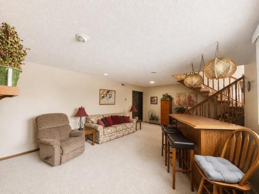 8.1 Lower Level Family Room.jpg