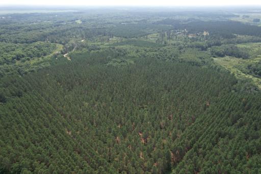dji_fly_20260729_115050_15_1785344271672_photo.jpg