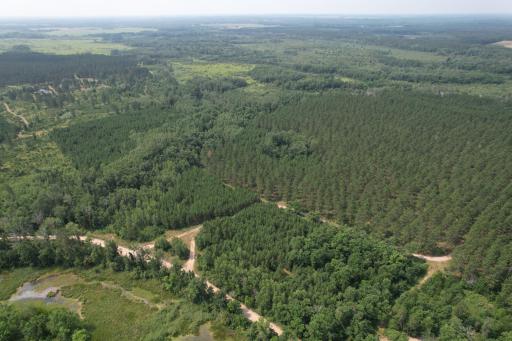 dji_fly_20260729_115202_19_1785344263292_photo.jpg