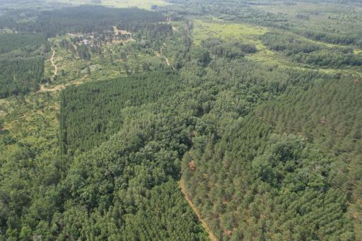 dji_fly_20260729_115218_21_1785344259554_photo.jpg