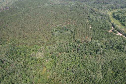 dji_fly_20260729_115330_24_1785344253088_photo.jpg