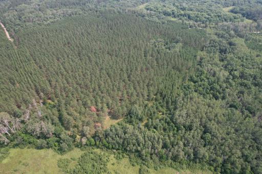 dji_fly_20260729_115404_25_1785344250934_photo.jpg