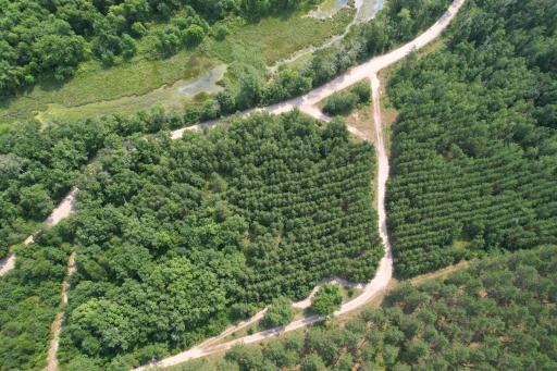 dji_fly_20260729_115132_18_1785344265599_photo.jpg