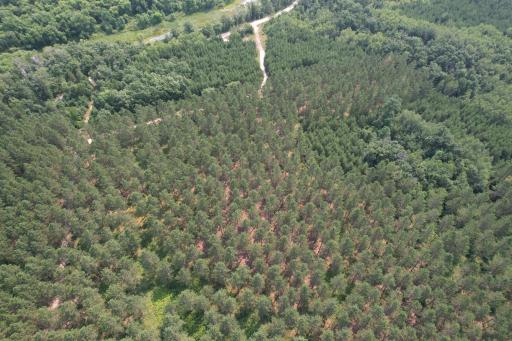 dji_fly_20260729_115112_17_1785344267813_photo.jpg