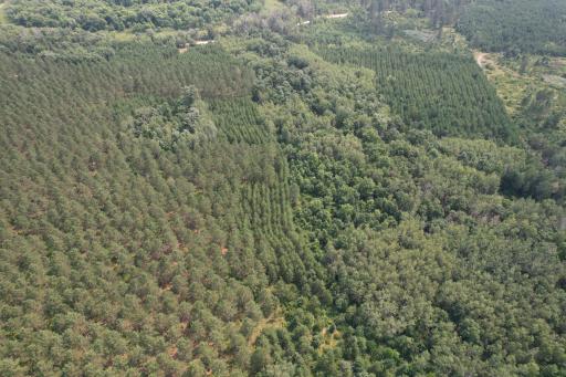 dji_fly_20260729_115424_26_1785344248712_photo.jpg