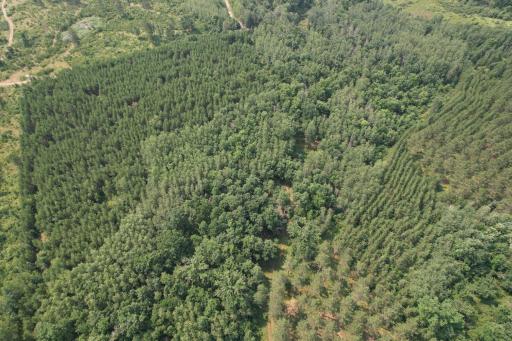 dji_fly_20260729_115224_22_1785344257518_photo.jpg