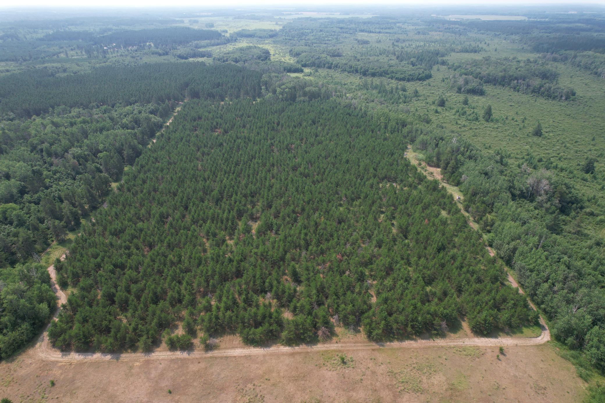 dji_fly_20260729_114742_6_1785344288508_photo.jpg