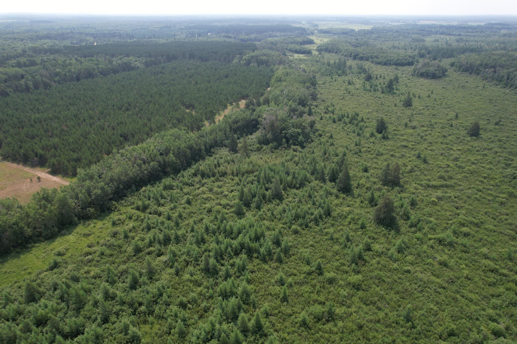 dji_fly_20260729_114650_4_1785344292132_photo.jpg