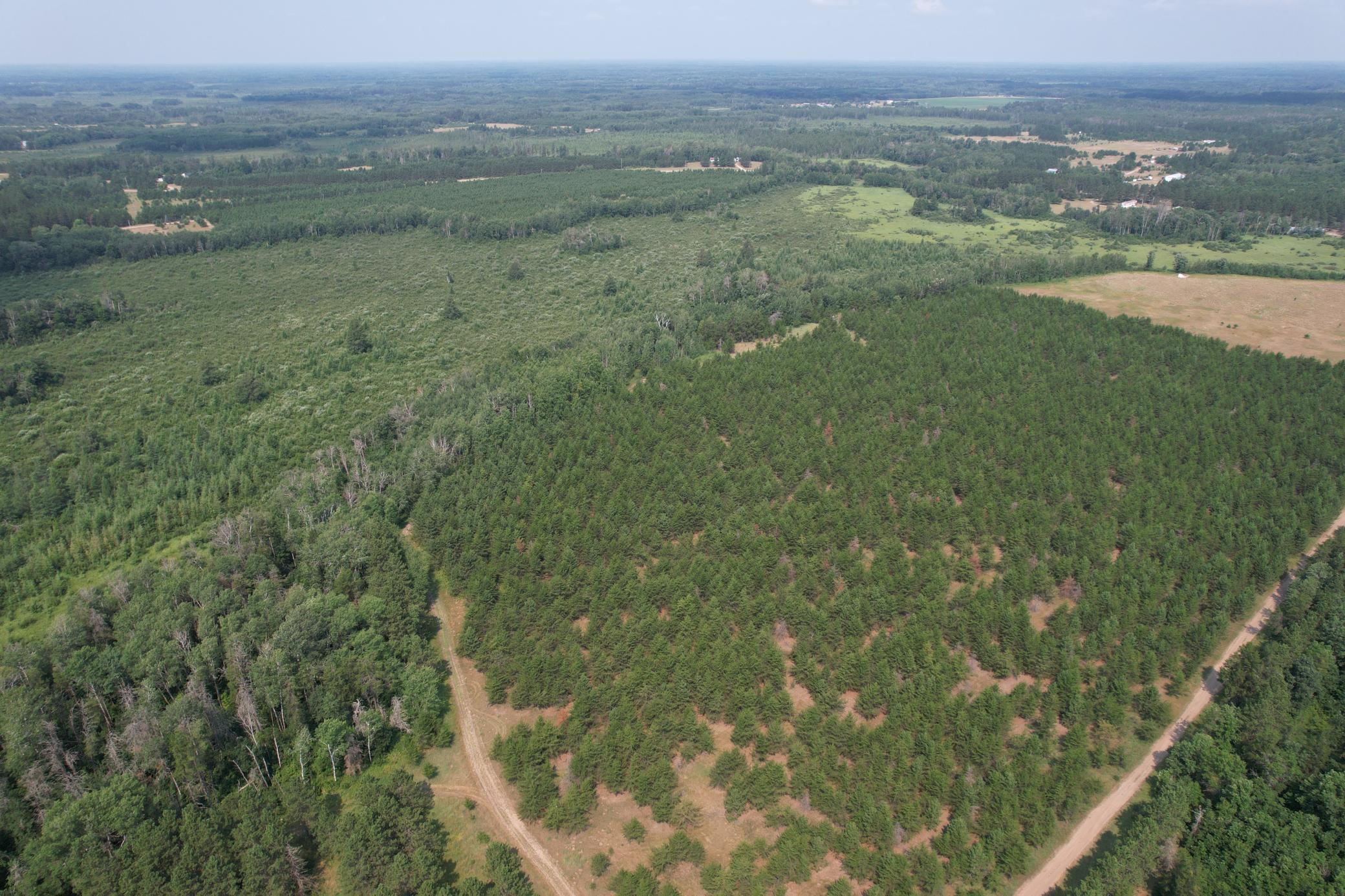 dji_fly_20260729_114902_10_1785344280737_photo.jpg
