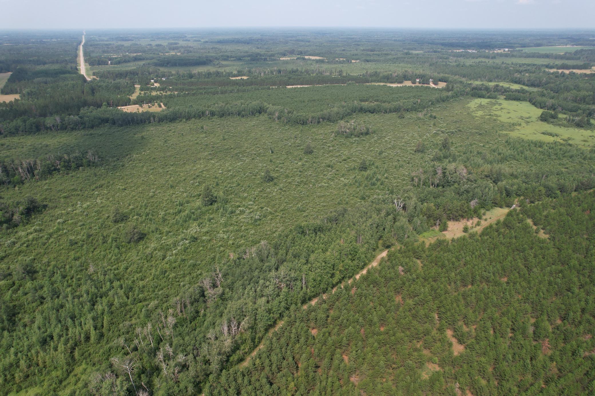 dji_fly_20260729_114914_11_1785344278901_photo.jpg