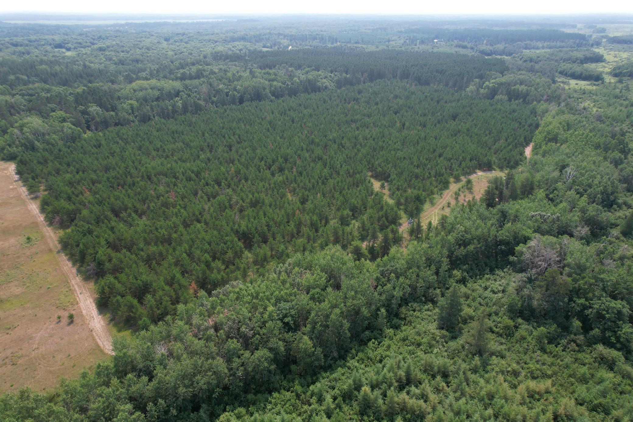 dji_fly_20260729_114702_5_1785344290340_photo.jpg
