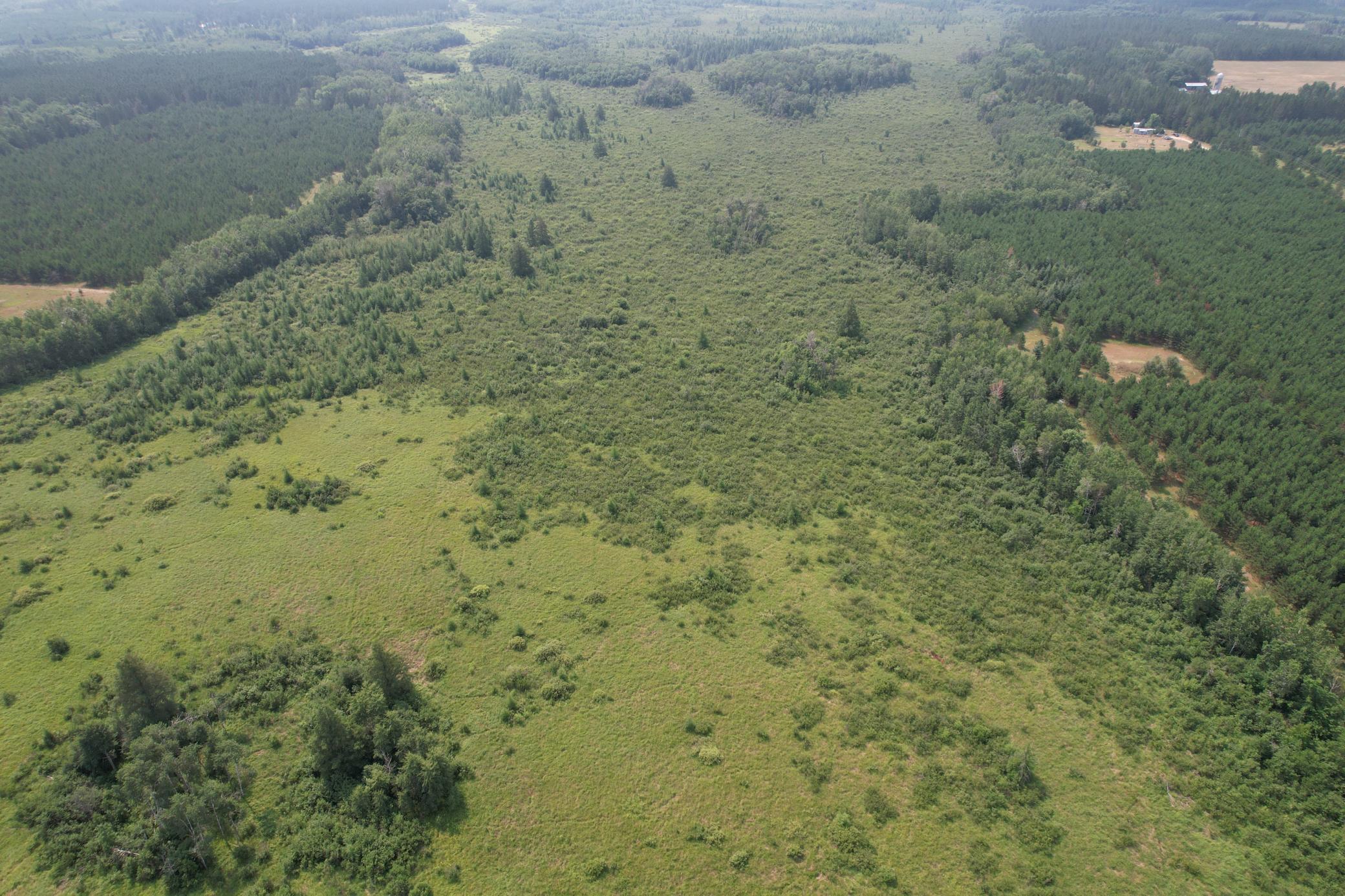 dji_fly_20260729_114524_998_1785344302319_photo.jpg