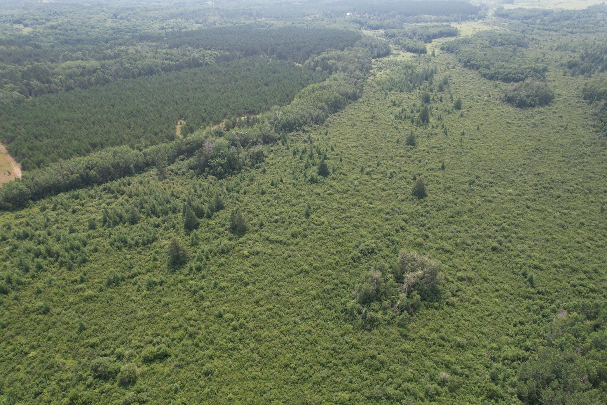dji_fly_20260729_114550_1_1785344298220_photo.jpg