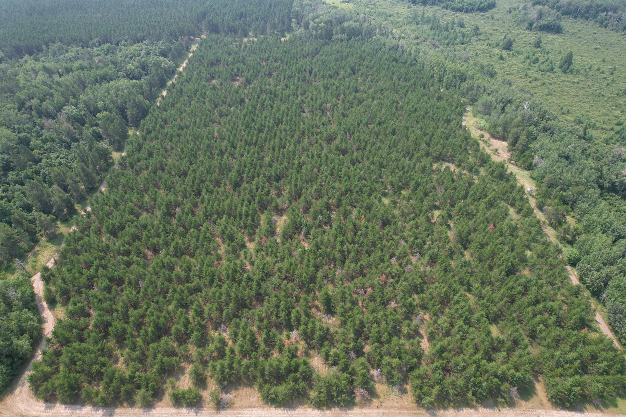 dji_fly_20260729_114804_7_1785344286789_photo.jpg