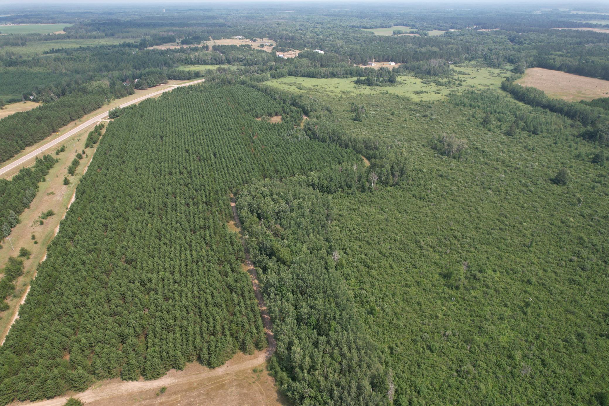 dji_fly_20260729_115600_27_1785344246505_photo.jpg