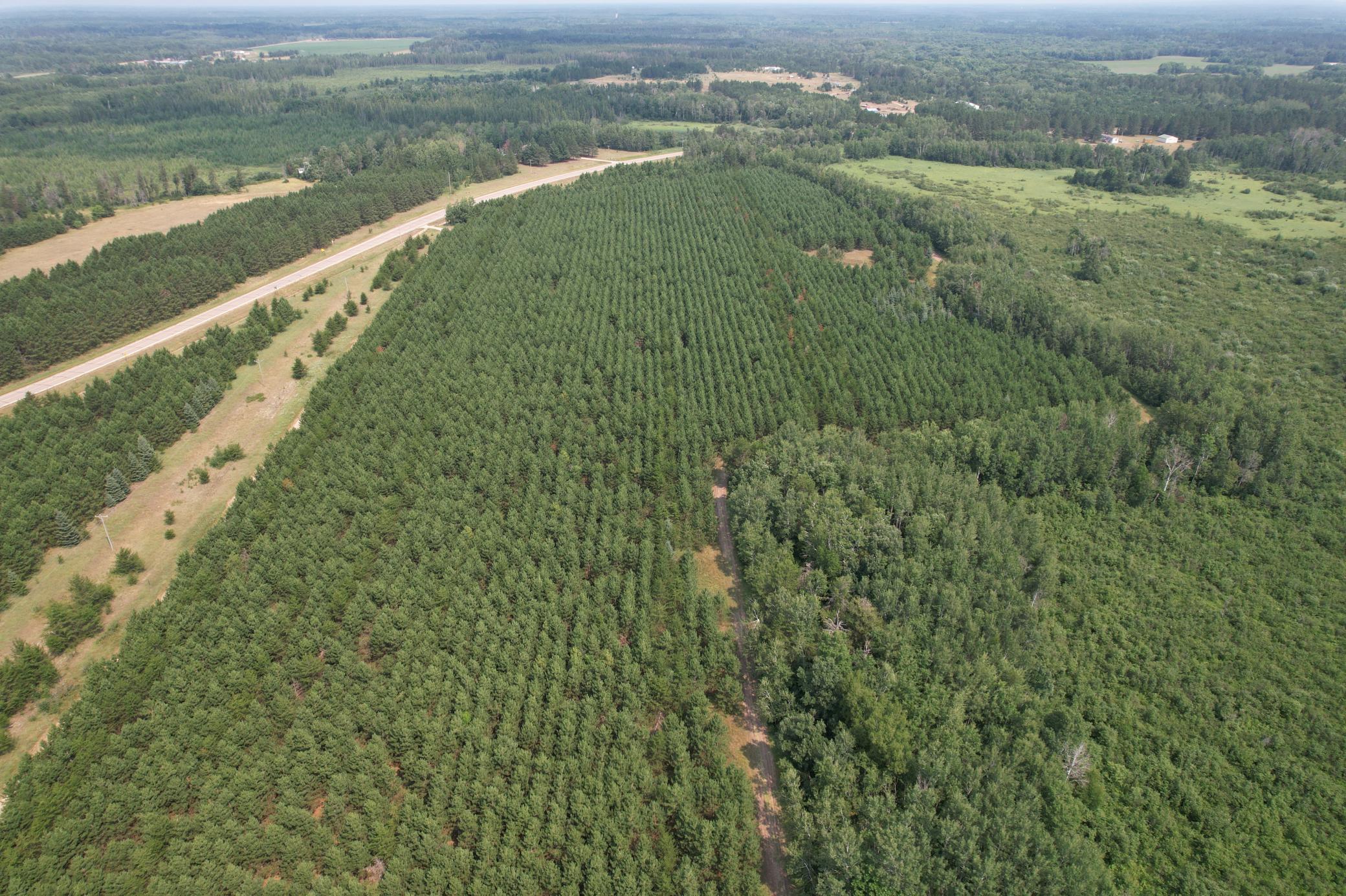 dji_fly_20260729_115606_28_1785344244560_photo.jpg