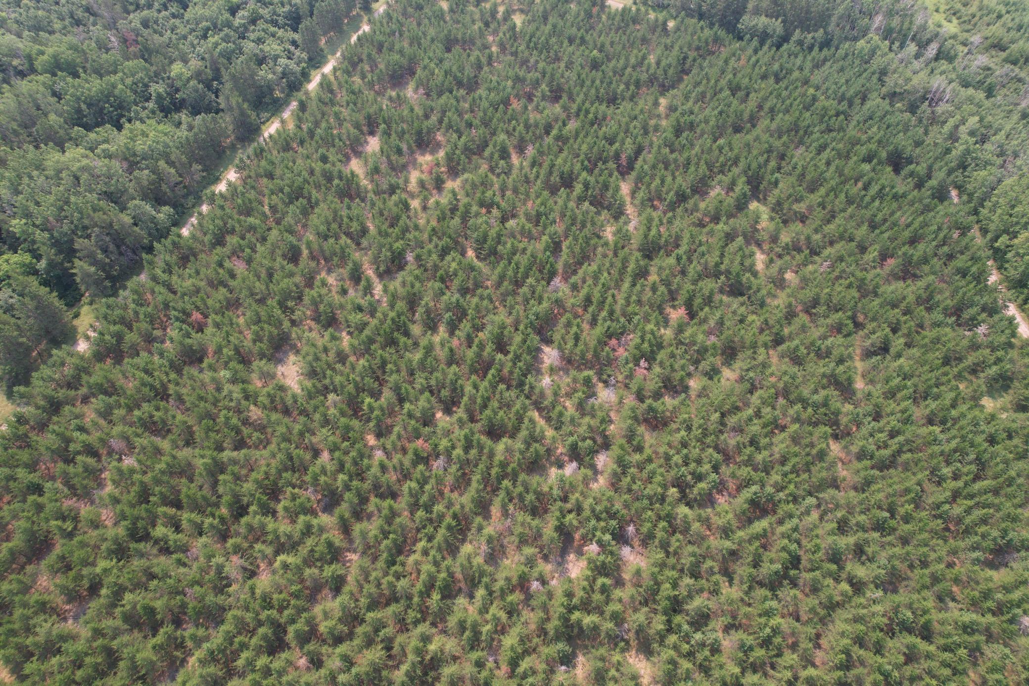 dji_fly_20260729_114822_9_1785344282799_photo.jpg