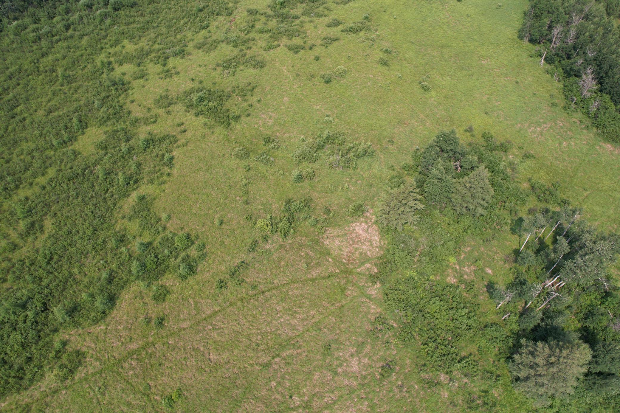 dji_fly_20260729_114638_3_1785344294183_photo.jpg