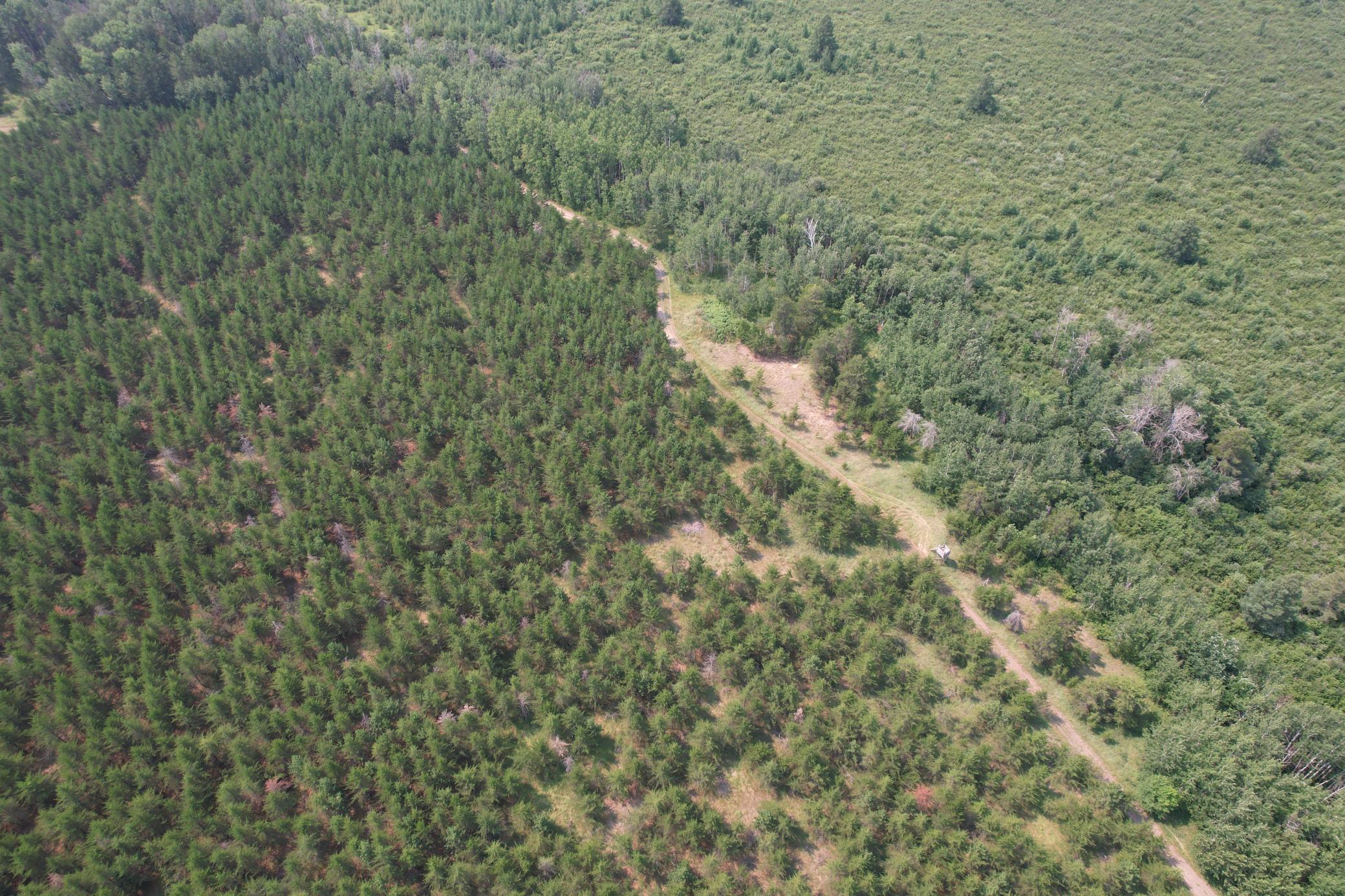 dji_fly_20260729_114816_8_1785344284850_photo.jpg