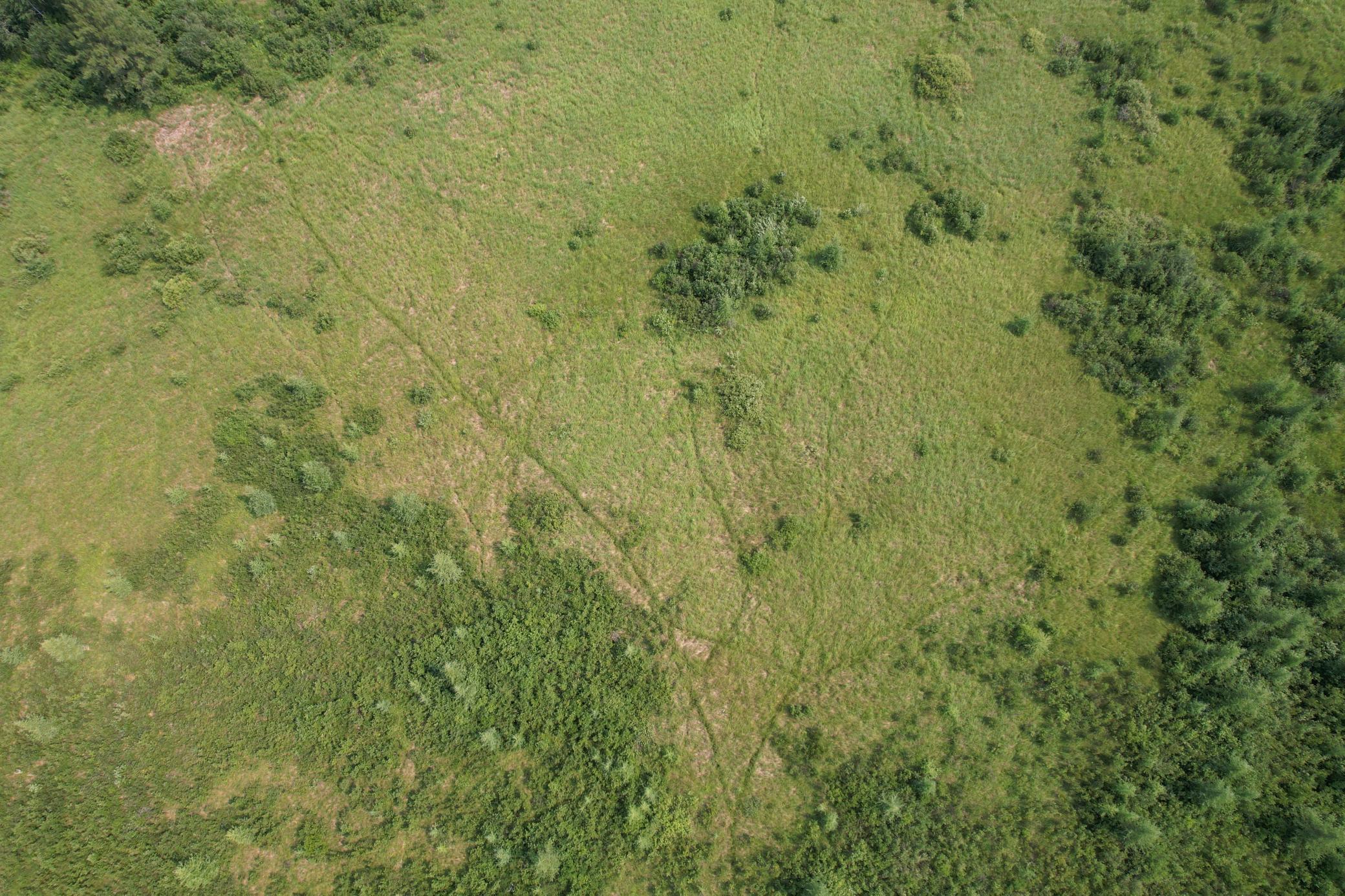 dji_fly_20260729_114624_2_1785344296295_photo.jpg