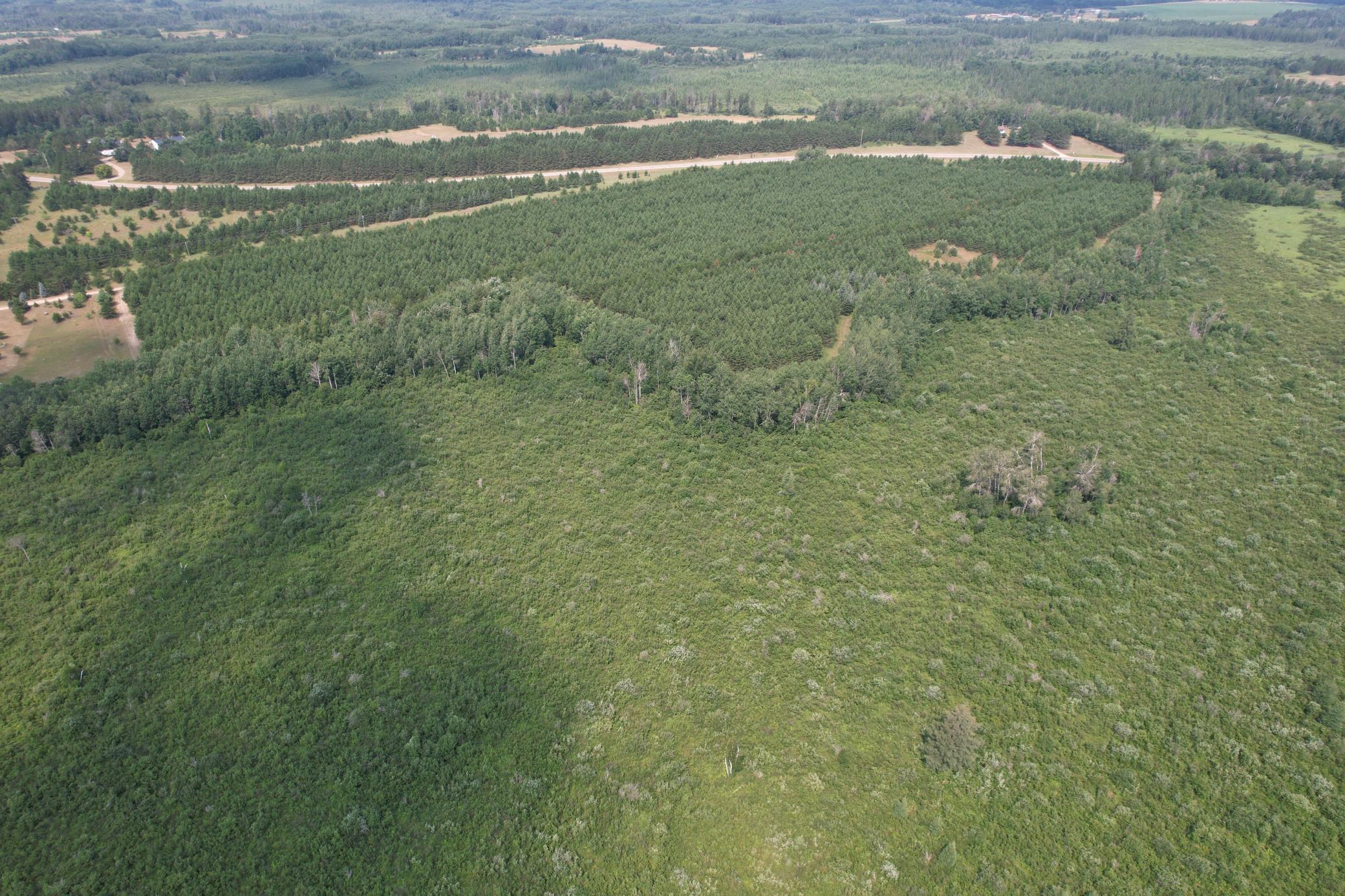 dji_fly_20260729_114934_12_1785344277102_photo.jpg