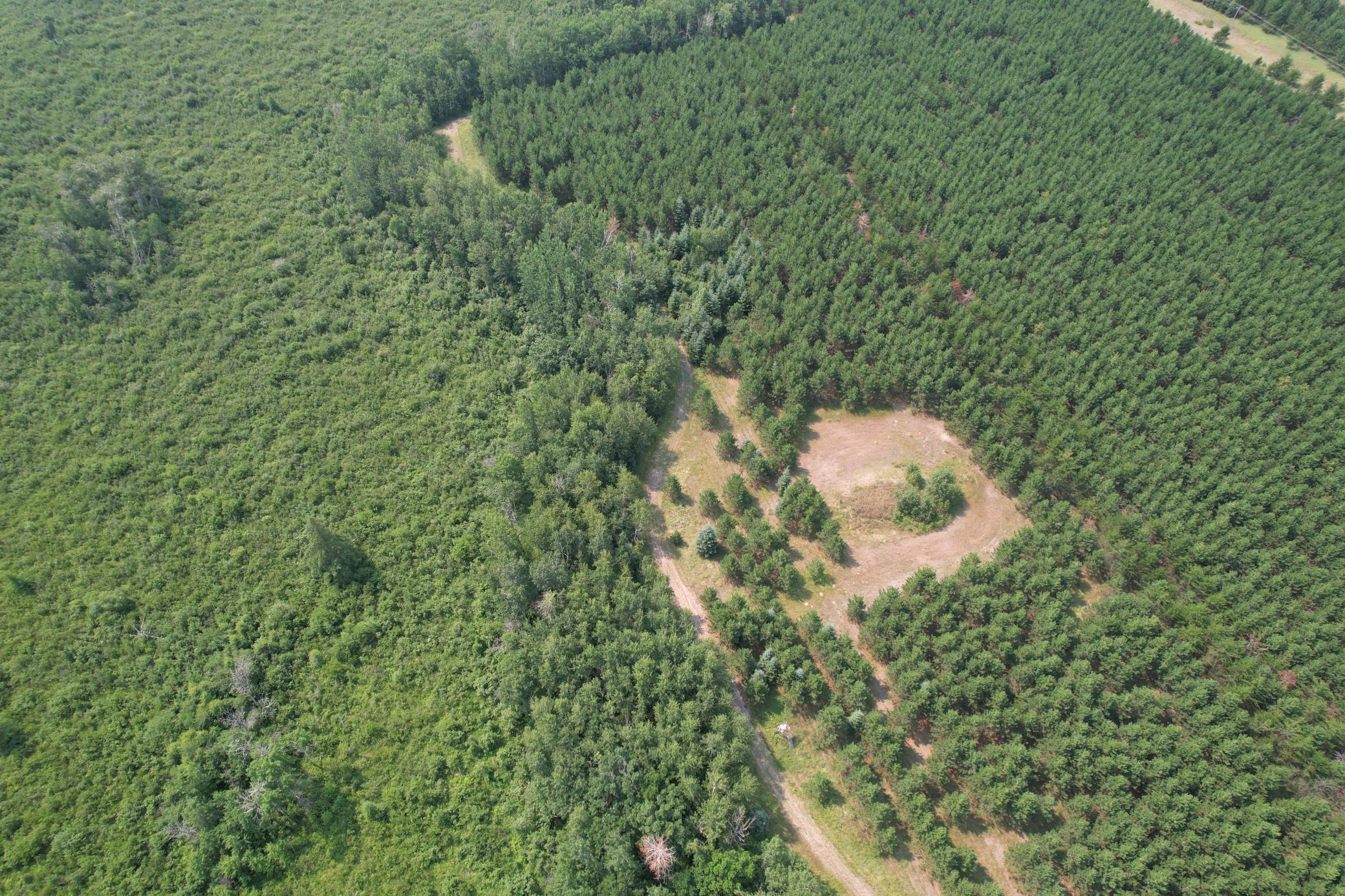 dji_fly_20260729_114540_999_1785344300440_photo.jpg