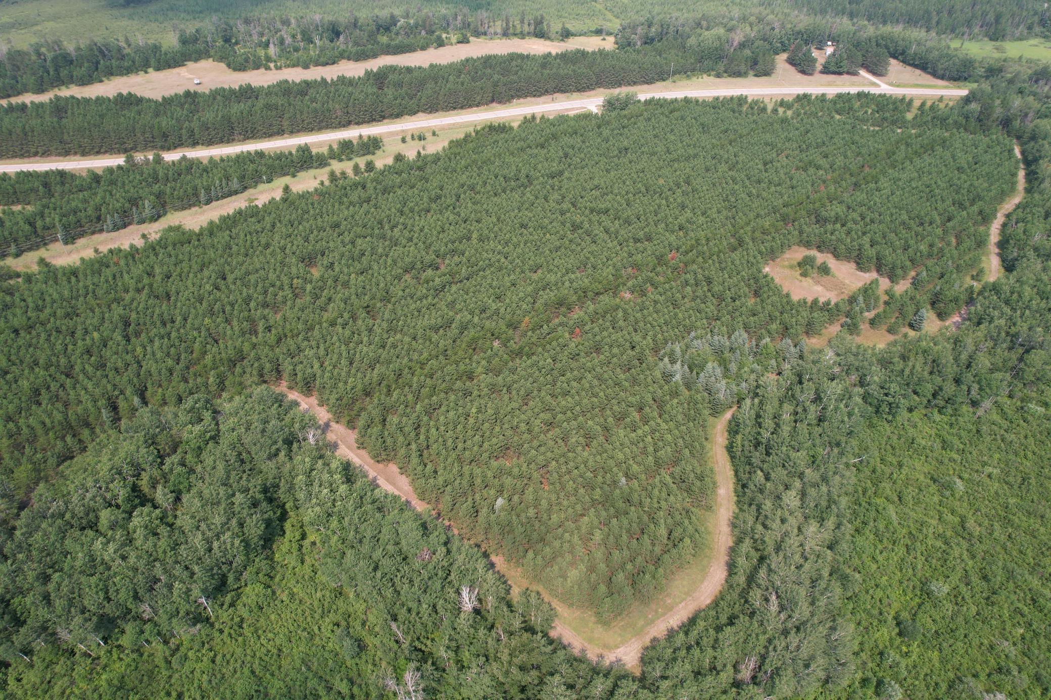 dji_fly_20260729_114948_13_1785344275030_photo.jpg