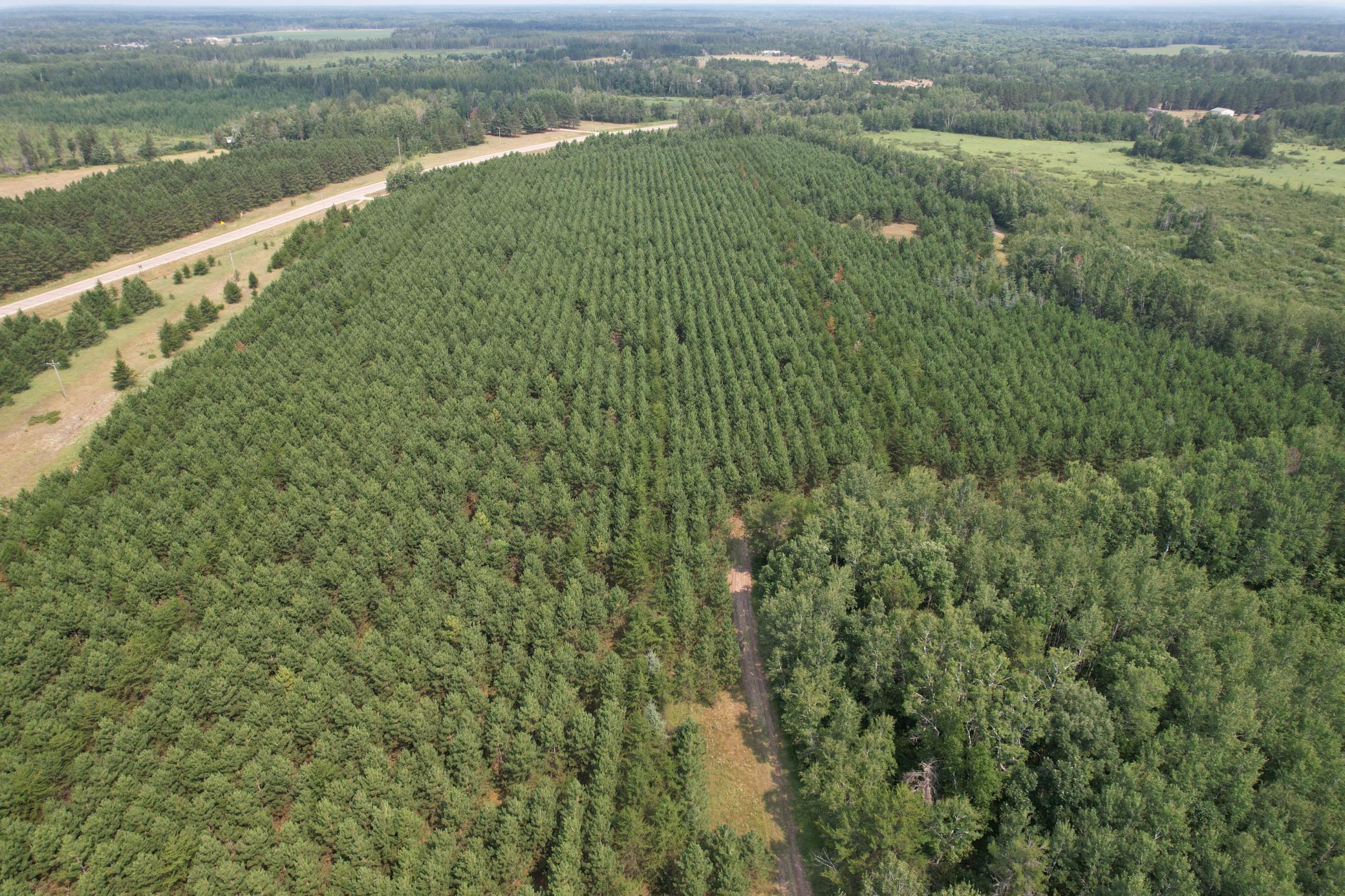 dji_fly_20260729_115612_29_1785344242562_photo.jpg