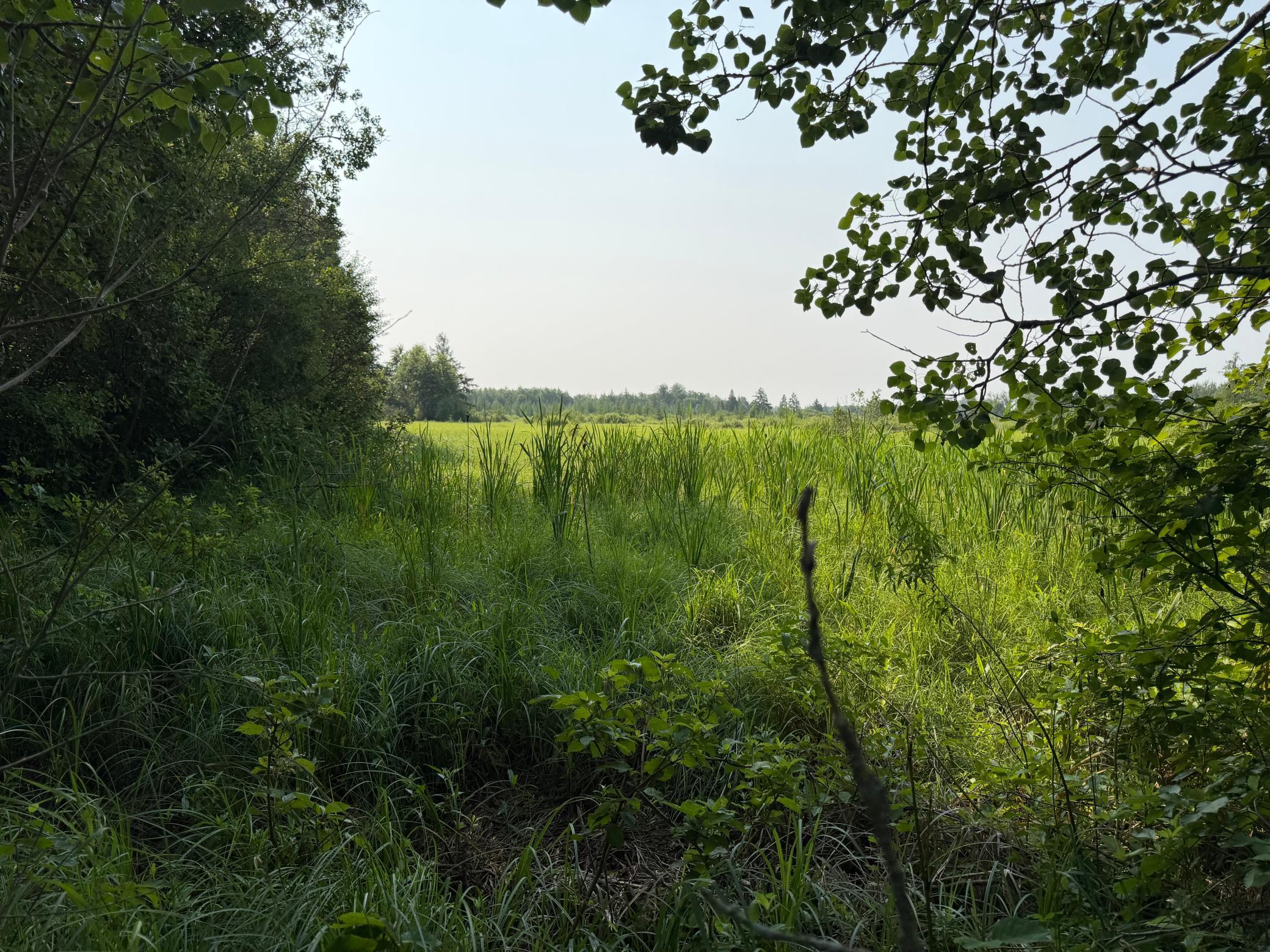 IMG_5144.jpeg