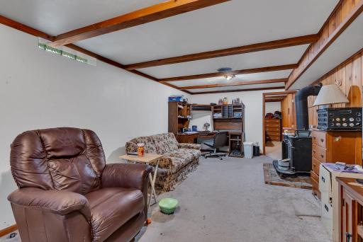 Lower level family room!