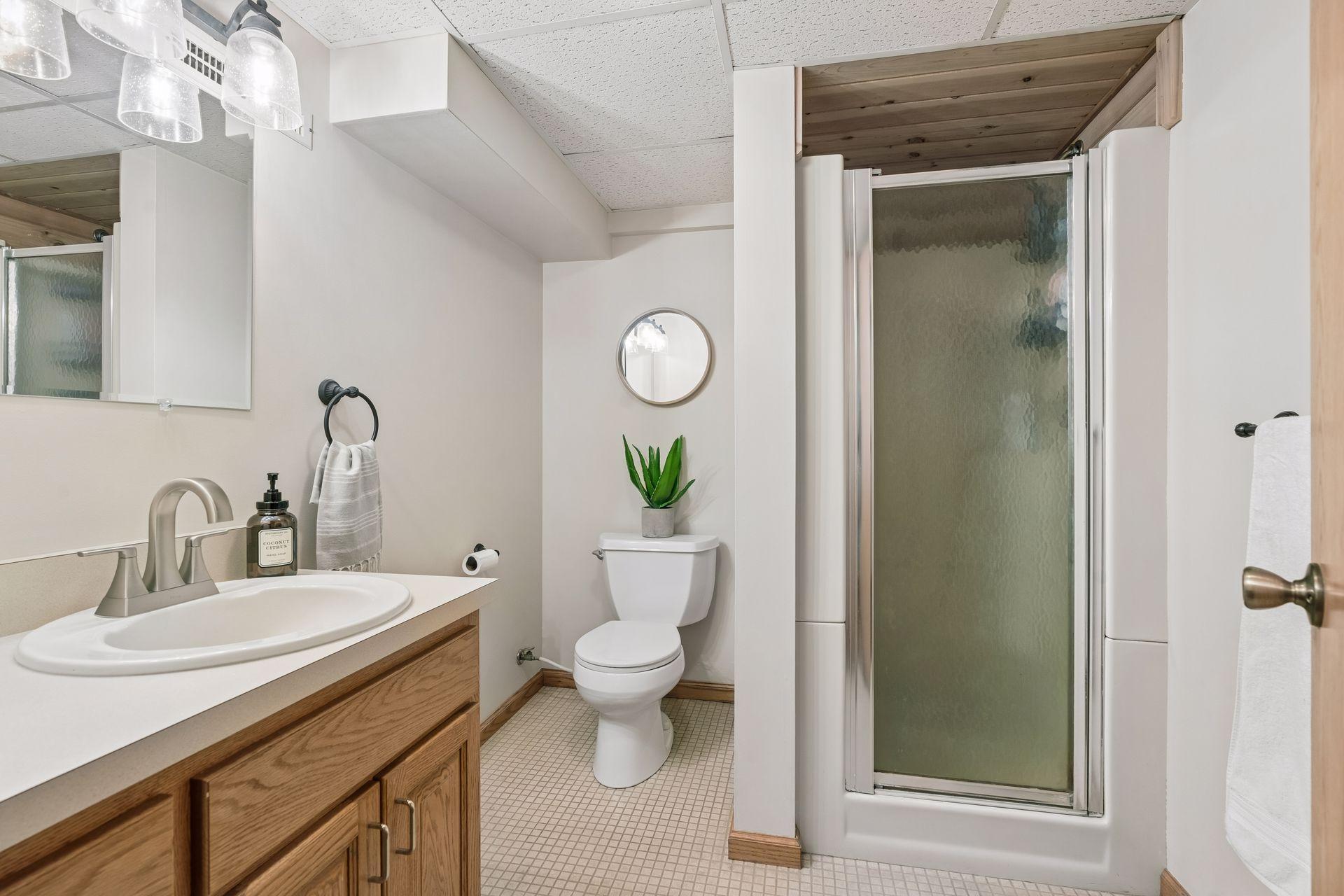 Lower level 3/4 bath - spacious and bright