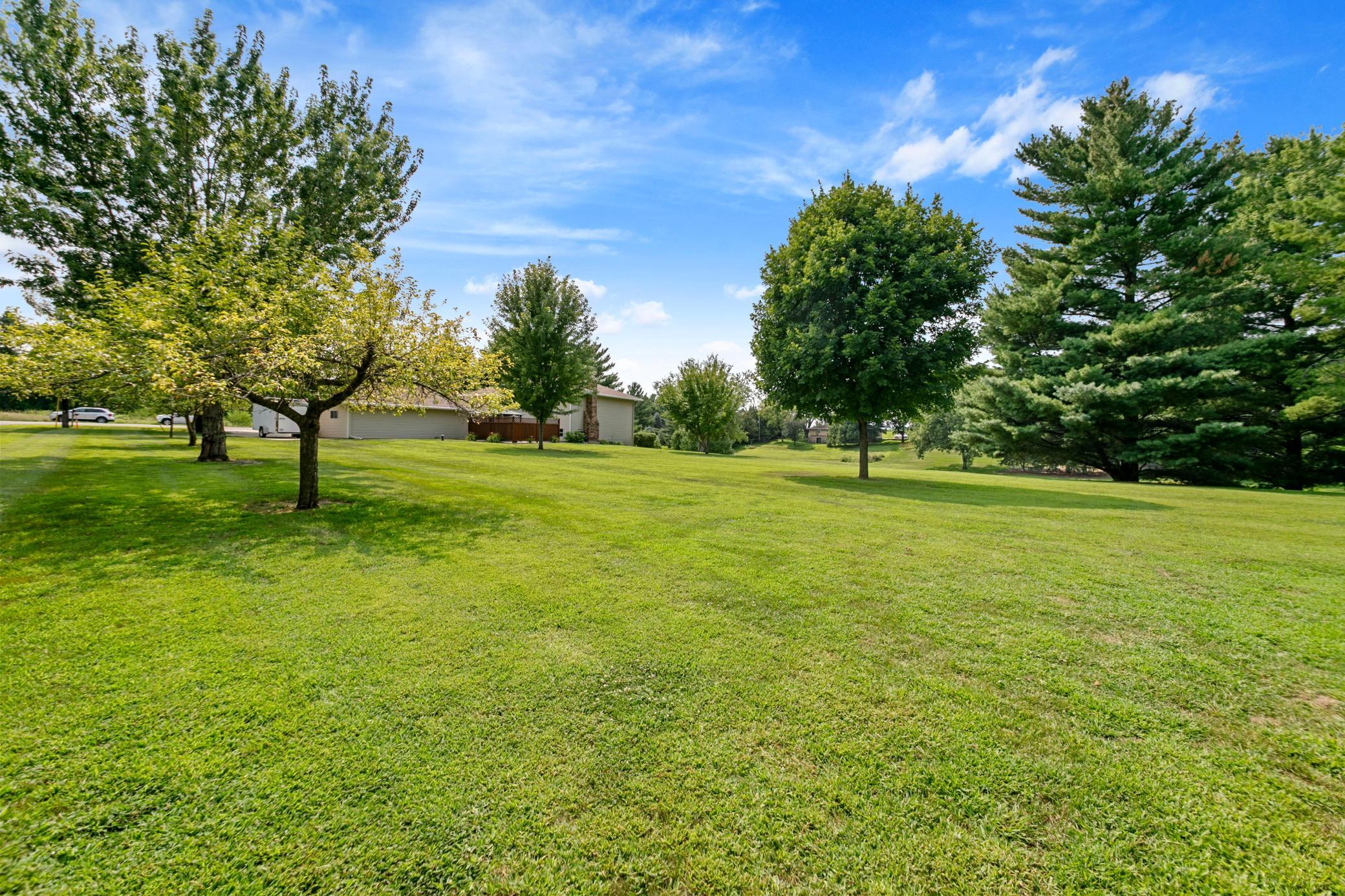 Backyard view