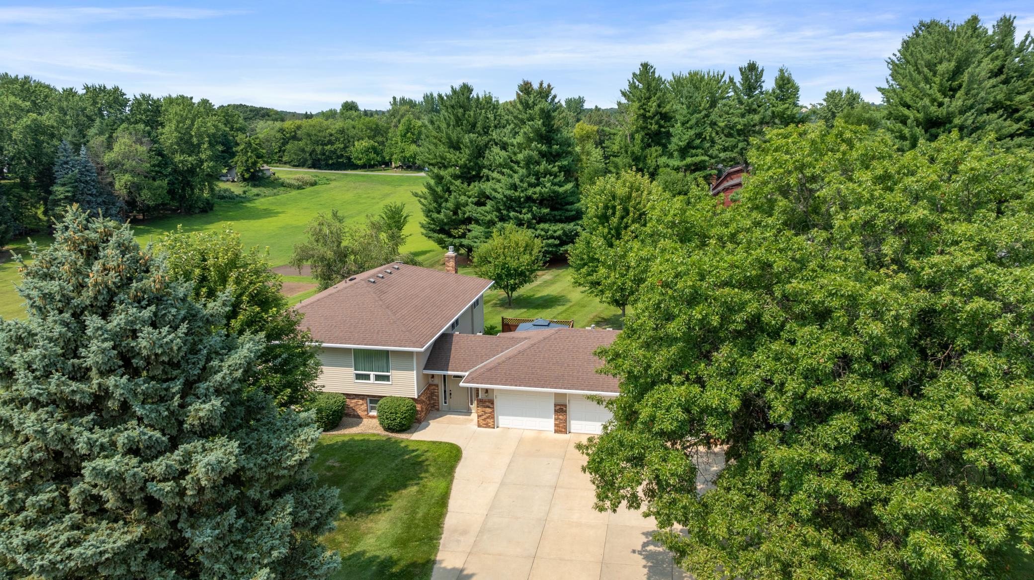 Mature trees and privacy