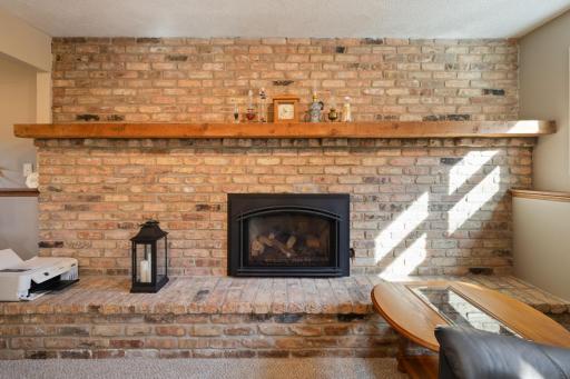 New carpet in the LL family room and a warm fireplace to enjoy those cool nights