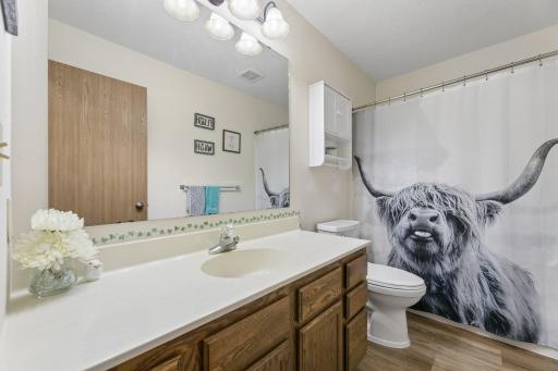 Main Floor second full bathroom
