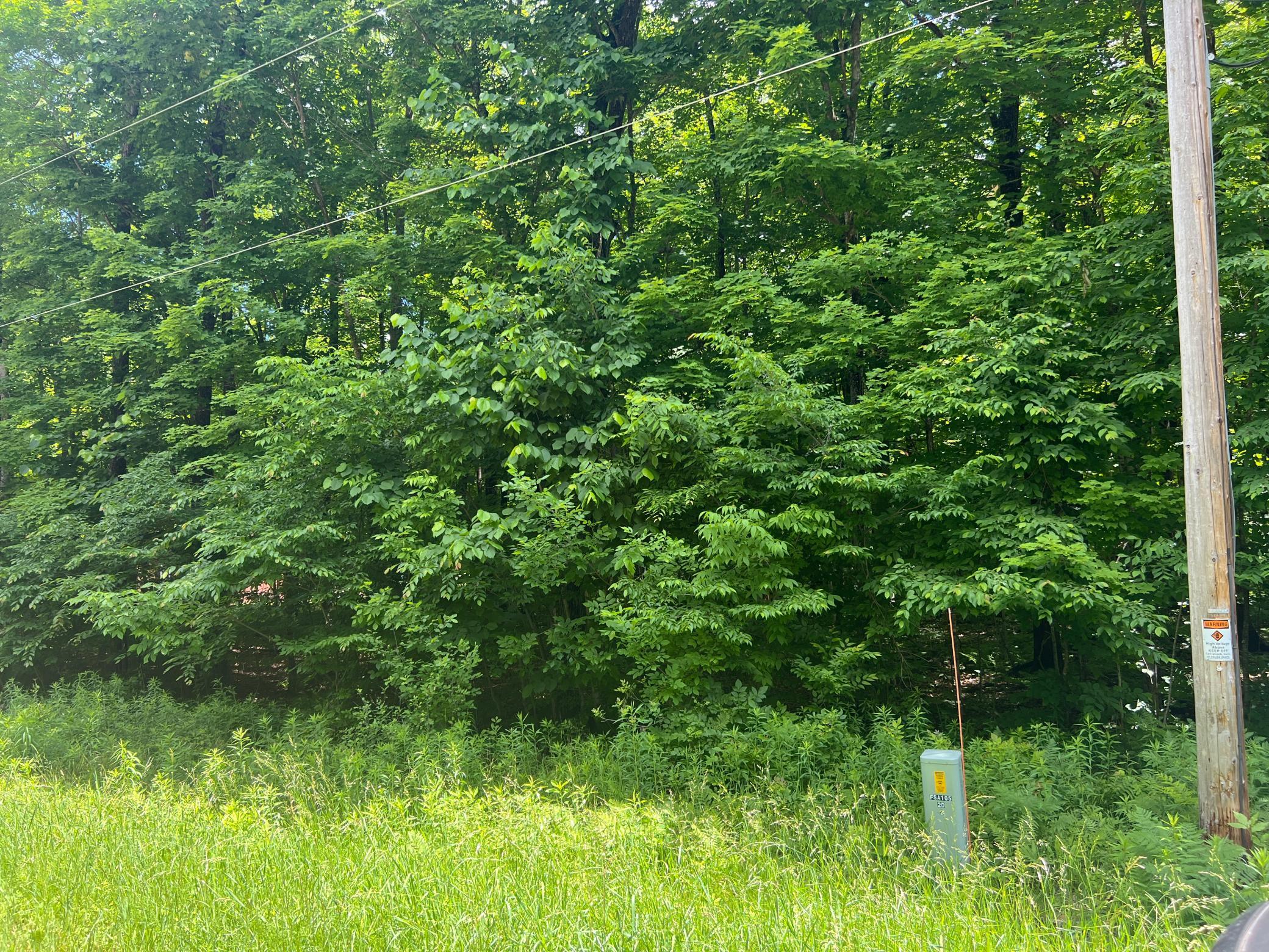 Property photo for TBD 28 1/4 Street, Birchwood, WI 54817
