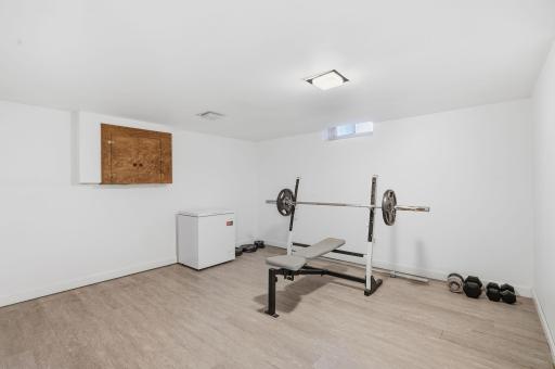 Lower Level Family Room