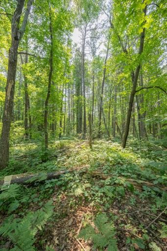 5020 Woodland Drive NW, Hackensack, MN 56452