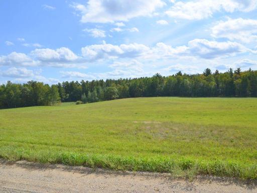 XXX Juneberry Drive, Park Rapids, MN 56470