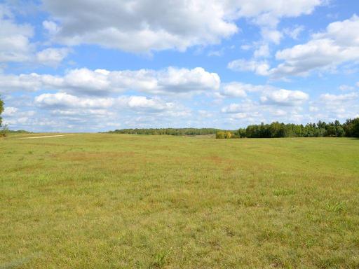 XXX Juneberry Drive, Park Rapids, MN 56470
