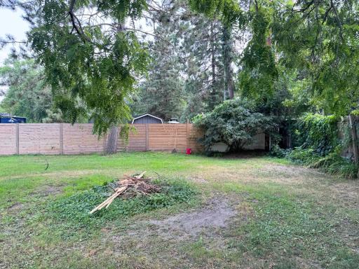 More backyard views.