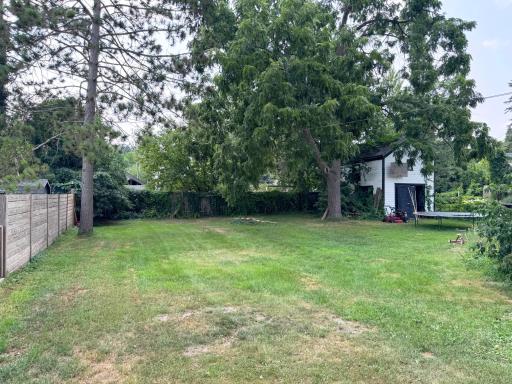 Another backyard shot.
